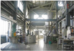 Palm/Peanut/Coconut Oil Extraction Plant