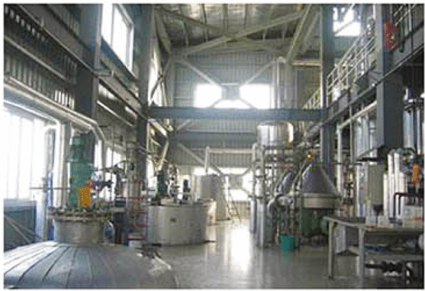 Palm/Peanut/Coconut Oil Extraction Plant