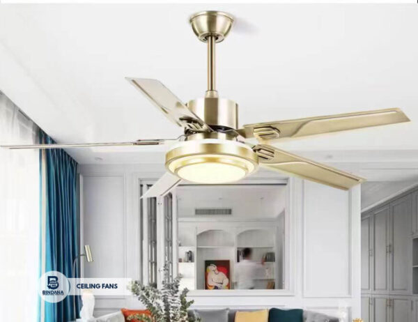Ceiling Fans