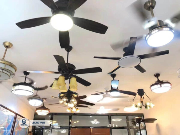 Ceiling Fans - Image 2