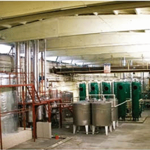 Glucose Syrups Processing Plant