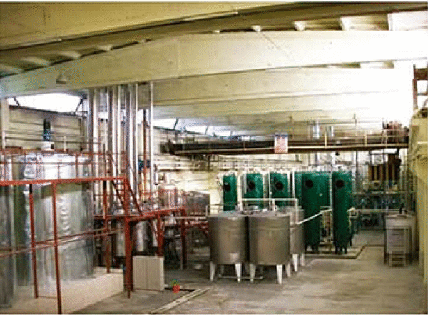 Glucose Syrups Processing Plant