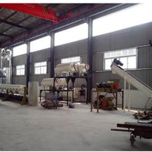 Plantain Flour Processing Plant